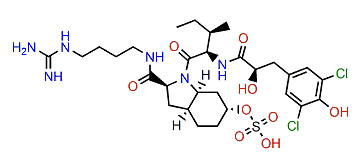 Aeruginosin 101